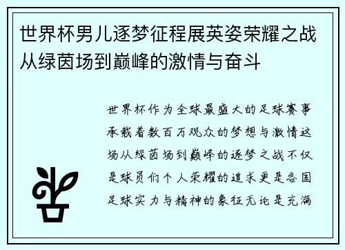 世界杯男儿逐梦征程展英姿荣耀之战从绿茵场到巅峰的激情与奋斗